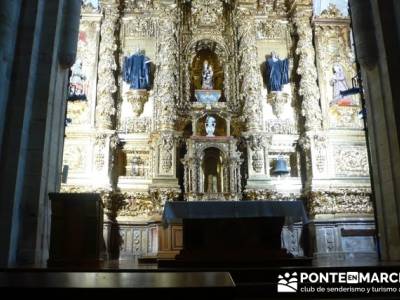 Enología en Rioja - Senderismo Camino de Santiago - Santa María la Real (Najera); senderismo sevil